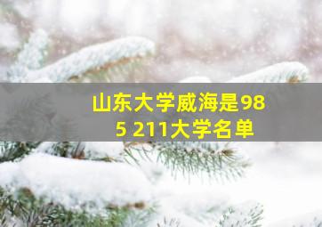 山东大学威海是985 211大学名单